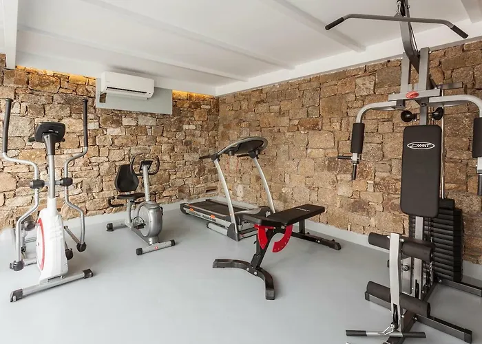 Luxury Artemis By Mykonos Luxury Ελιά